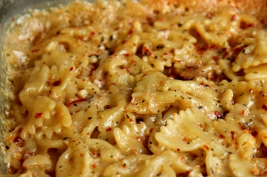 Pasta in white sauce easy recipe